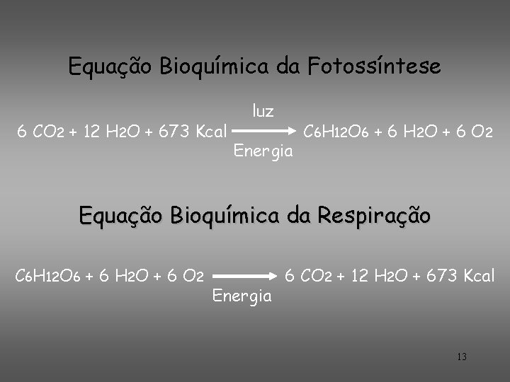 Equação Bioquímica da Fotossíntese 6 CO 2 + 12 H 2 O + 673