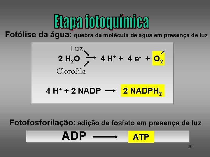 Fotólise da água: quebra da molécula de água em presença de luz Luz 2