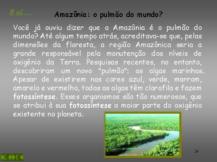 E aí. . . Amazônia: o pulmão do mundo? Você já ouviu dizer que