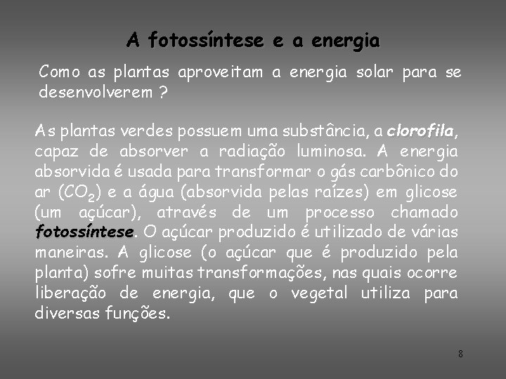 A fotossíntese e a energia Como as plantas aproveitam a energia solar para se