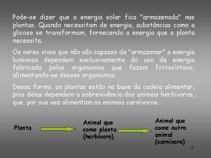 Pode-se dizer que a energia solar fica "armazenada" nas plantas. Quando necessitam de energia,