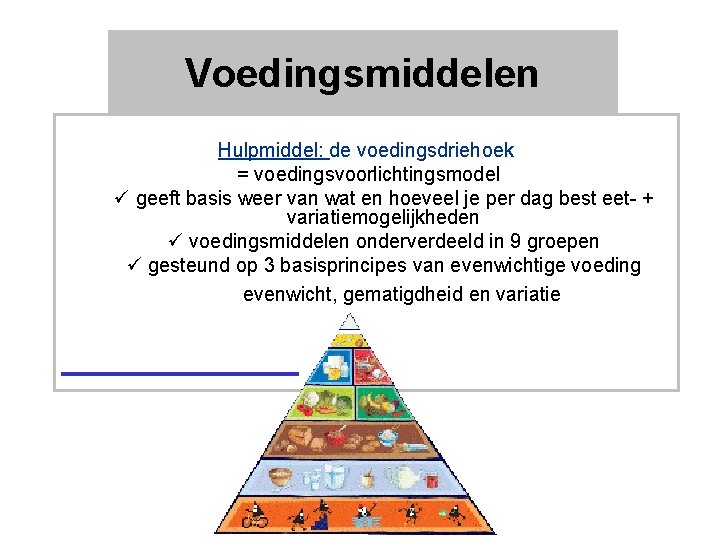 Voedingsmiddelen Hulpmiddel: de voedingsdriehoek = voedingsvoorlichtingsmodel ü geeft basis weer van wat en hoeveel