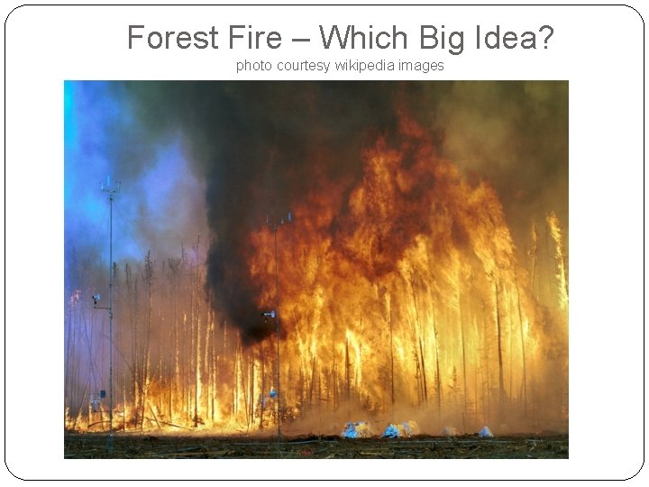 Forest Fire – Which Big Idea? photo courtesy wikipedia images 