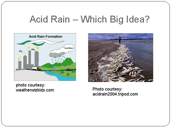 Acid Rain – Which Big Idea? photo courtesy: weatherwizkids. com Photo courtesy: acidrain 2004.