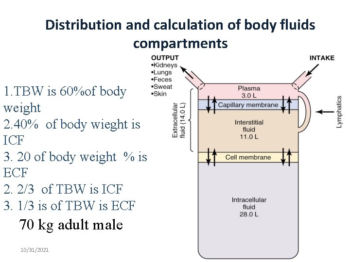 Distribution and calculation of body fluids compartments 1. TBW is 60%of body weight 2.