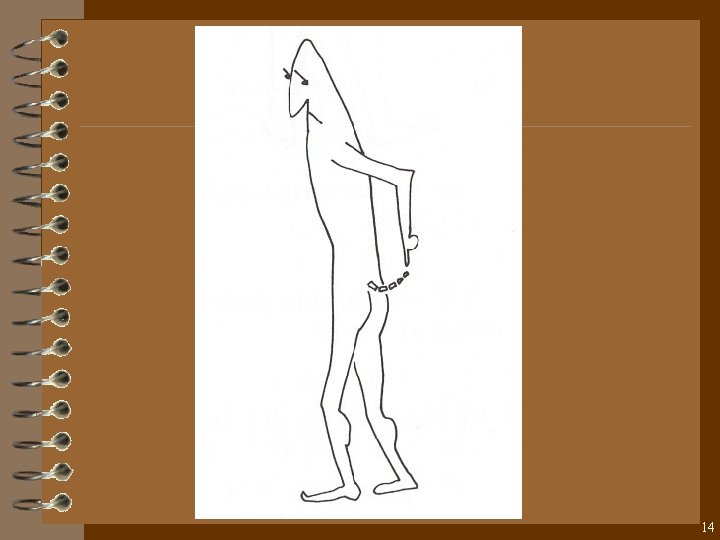 14 