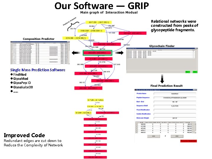 Our Software — GRIP Relational networks were constructed from peaks of glycopeptide fragments. Single
