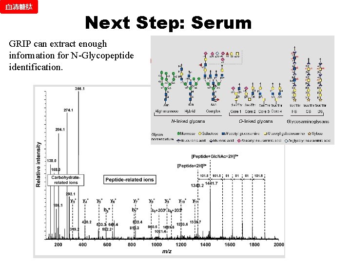 血清糖肽 Next Step: Serum GRIP can extract enough information for N-Glycopeptide identification. 