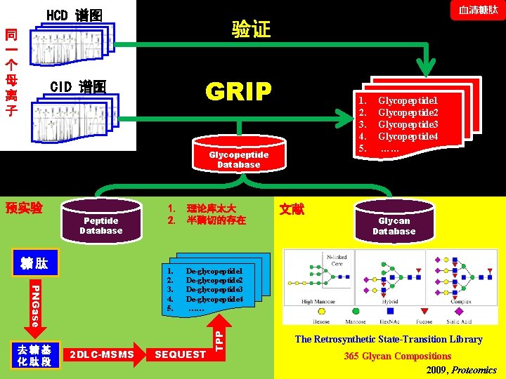 血清糖肽 HCD 谱图 同 一 个 母 离 子 验证 GRIP CID 谱图 1.