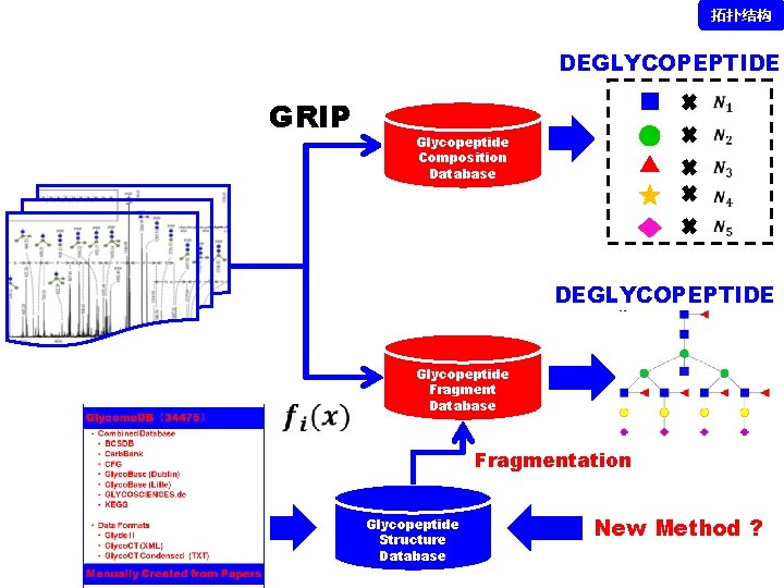 拓扑结构 DEGLYCOPEPTIDE GRIP Glycopeptide Composition Database DEGLYCOPEPTIDE Glycopeptide Fragment Database Fragmentation Glycopeptide Structure Database