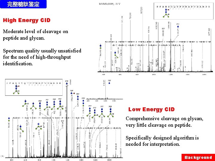 完整糖肽鉴定 High Energy CID Moderate level of cleavage on peptide and glycan. Spectrum quality