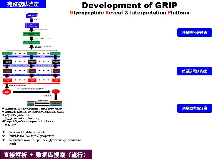 完整糖肽鉴定 Development of GRIP Glycopeptide Reveal & Interpretation Platform 质量数列表过滤 质量数网络构建 l Automatic filtration