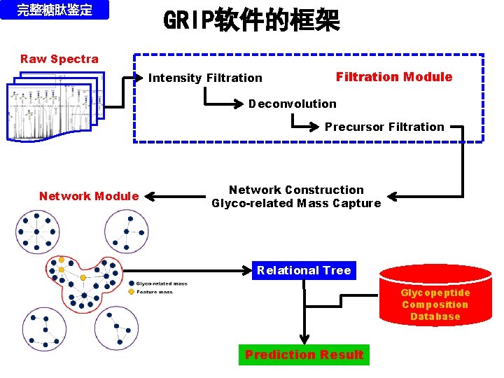 完整糖肽鉴定 GRIP软件的框架 Raw Spectra Intensity Filtration Module Deconvolution Precursor Filtration Network Module Network Construction