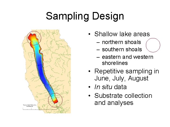 Sampling Design • Shallow lake areas – northern shoals – southern shoals – eastern