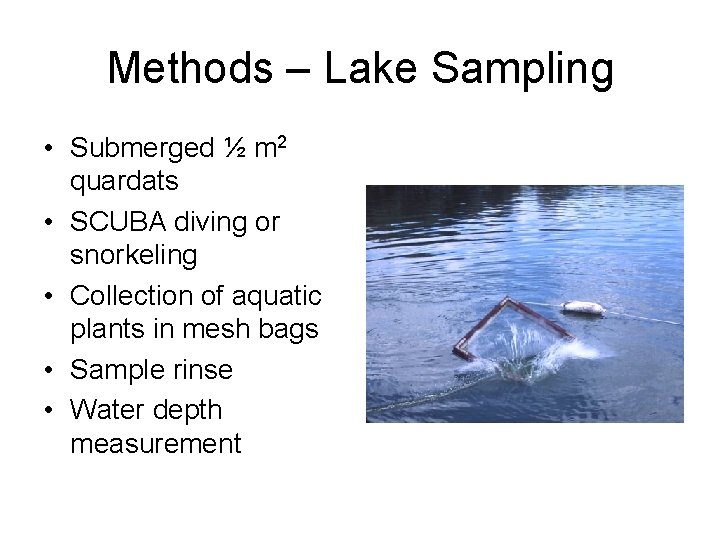 Methods – Lake Sampling • Submerged ½ m 2 quardats • SCUBA diving or