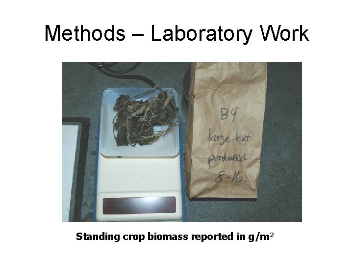 Methods – Laboratory Work Standing crop biomass reported in g/m 2 
