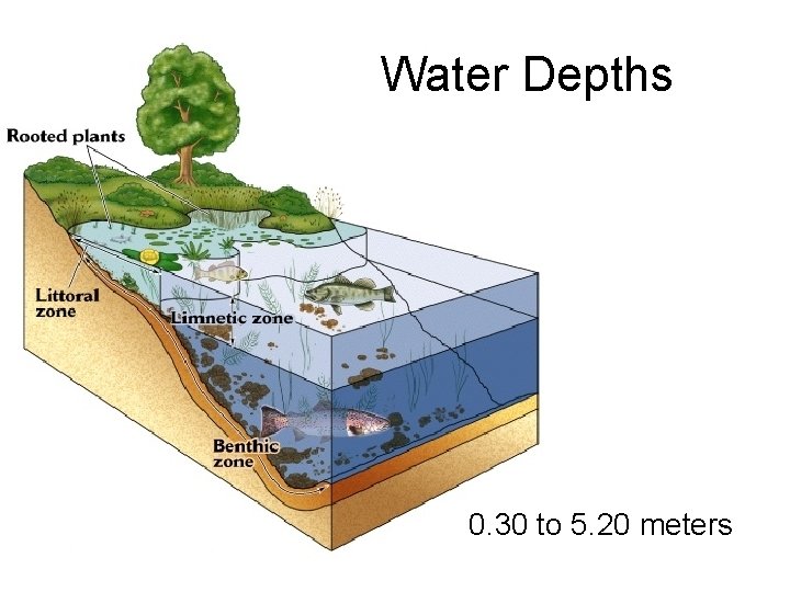 Water Depths 0. 30 to 5. 20 meters 