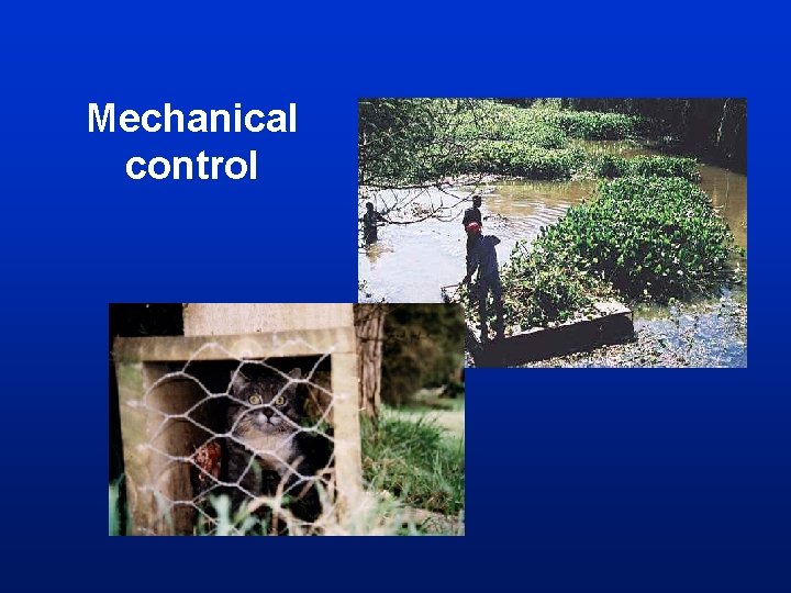 Mechanical control Mechanical control