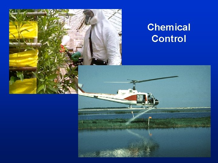 Chemical Control Chemical Control