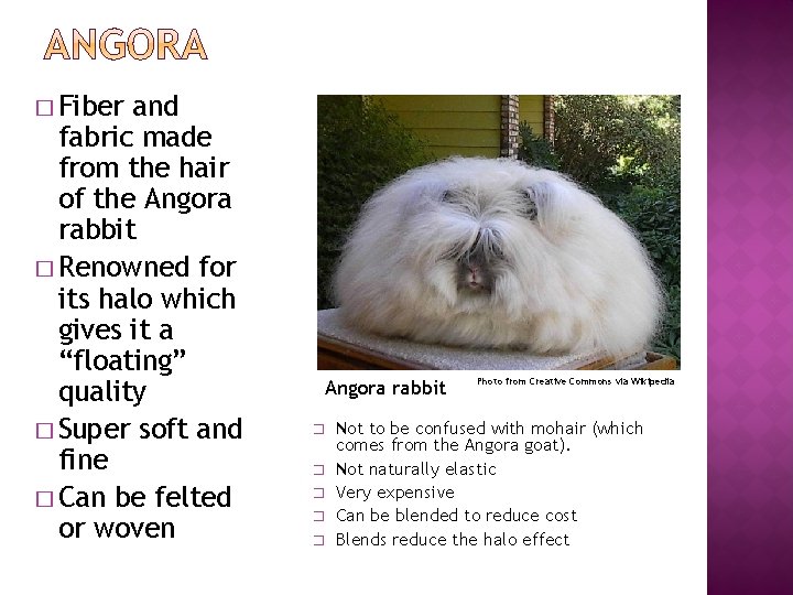 � Fiber and fabric made from the hair of the Angora rabbit � Renowned