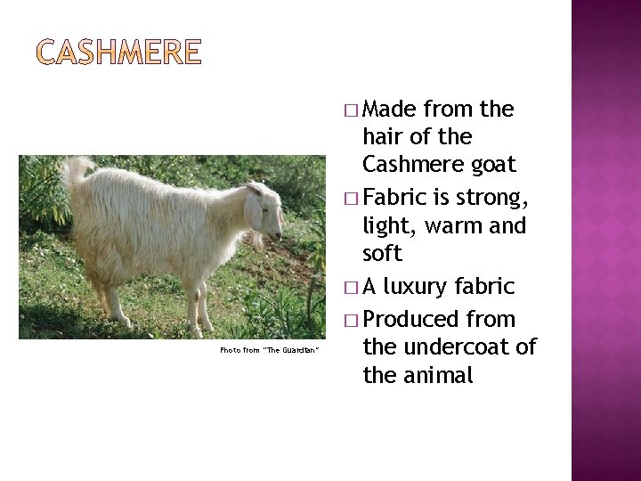 � Made Photo from “The Guardian” from the hair of the Cashmere goat �