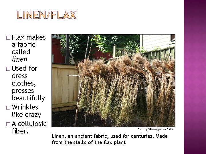 � Flax makes a fabric called linen � Used for dress clothes, presses beautifully