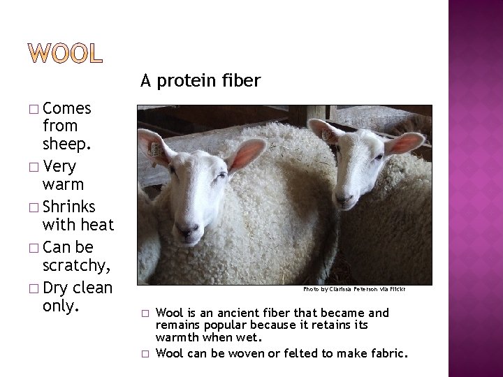 A protein fiber � Comes from sheep. � Very warm � Shrinks with heat
