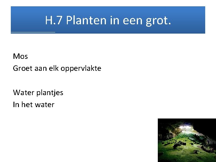 H. 7 Planten in een grot. Mos Groet aan elk oppervlakte Water plantjes In