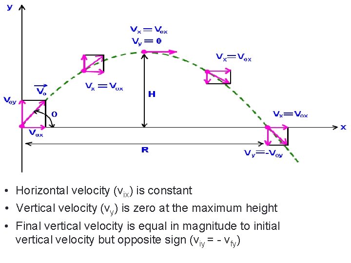 • Horizontal velocity (vix) is constant • Vertical velocity (vy) is zero at • Horizontal velocity (vix) is constant • Vertical velocity (vy) is zero at