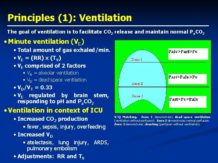 Principles (1): Ventilation The goal of ventilation is to facilitate CO 2 release and