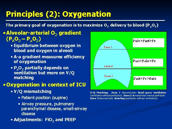 Principles (2): Oxygenation The primary goal of oxygenation is to maximize O 2 delivery