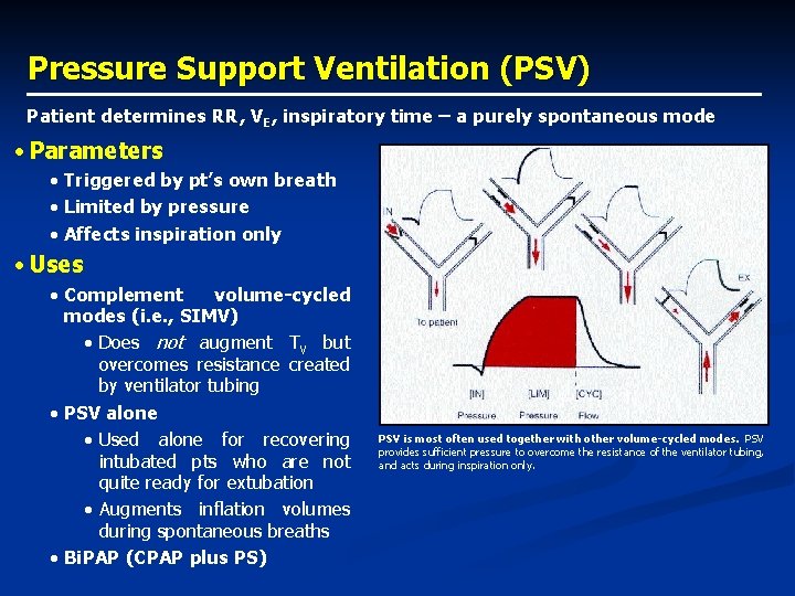 Pressure Support Ventilation (PSV) Patient determines RR, VE, inspiratory time – a purely spontaneous