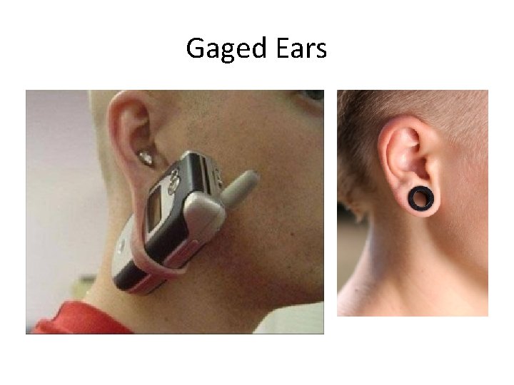 Gaged Ears 