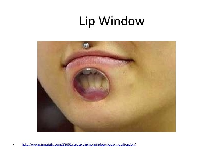 Lip Window • http: //www. inquisitr. com/58661/gross-the-lip-window-body-modification/ 