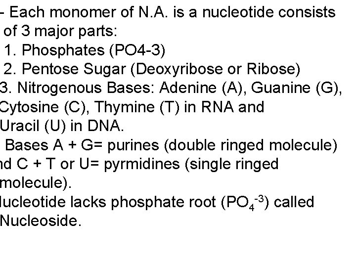 - Each monomer of N. A. is a nucleotide consists of 3 major parts: