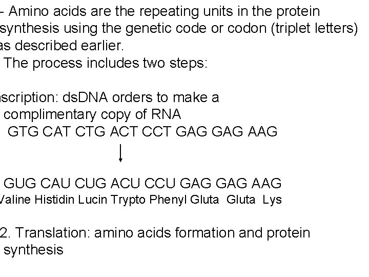 - Amino acids are the repeating units in the protein synthesis using the genetic