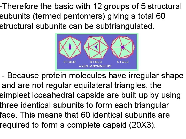-Therefore the basic with 12 groups of 5 structural subunits (termed pentomers) giving a