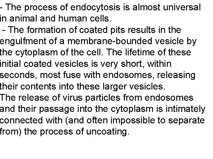 - The process of endocytosis is almost universal in animal and human cells. -