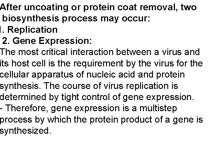 After uncoating or protein coat removal, two biosynthesis process may occur: 1. Replication 2.
