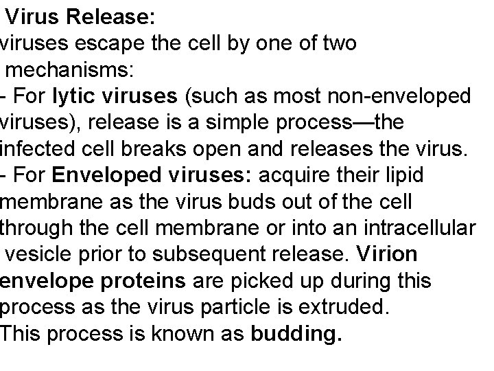 Virus Release: viruses escape the cell by one of two mechanisms: - For lytic