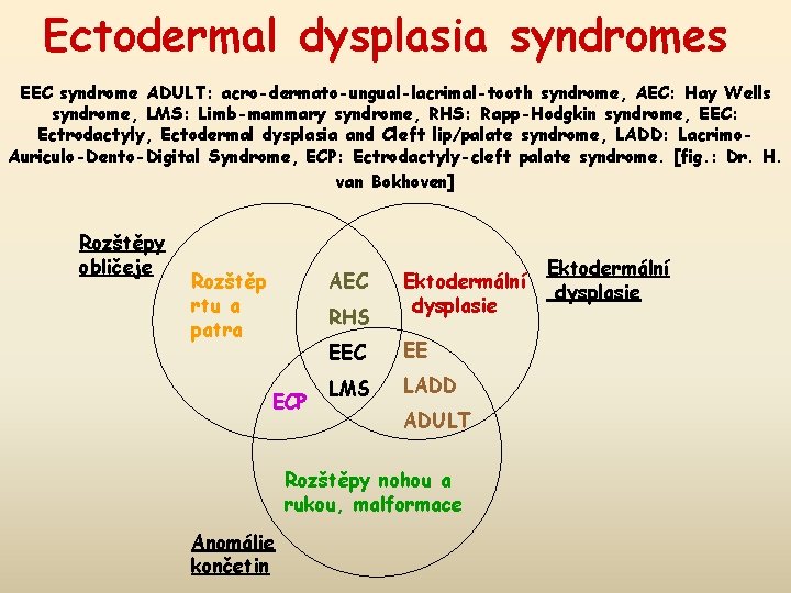 Ectodermal dysplasia syndromes EEC syndrome ADULT: acro-dermato-ungual-lacrimal-tooth syndrome, AEC: Hay Wells syndrome, LMS: Limb-mammary