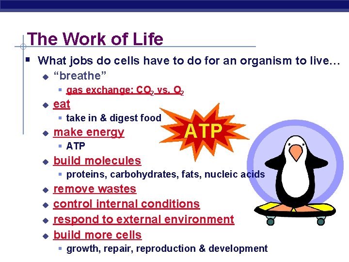 The Work of Life § What jobs do cells have to do for an