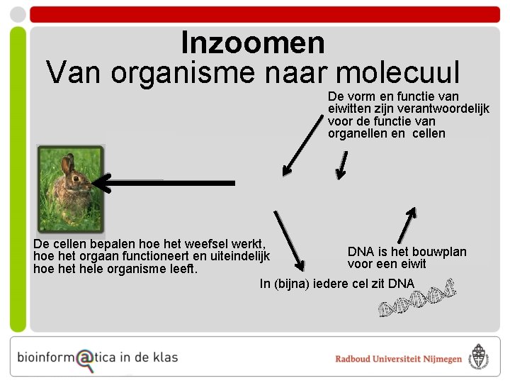 Bioinformatica Leven in de computer Inleidende les Binnenkort