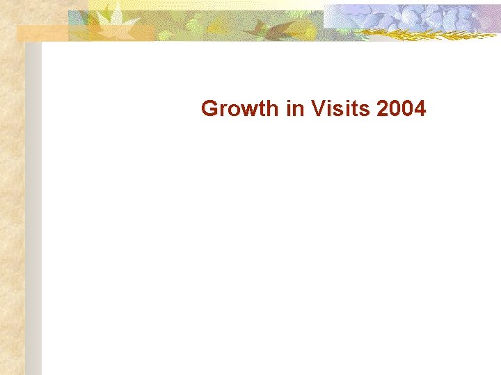 Growth in Visits 2004 