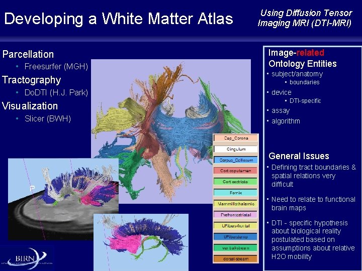Developing a White Matter Atlas Parcellation • Freesurfer (MGH) Tractography • Do. DTI (H.