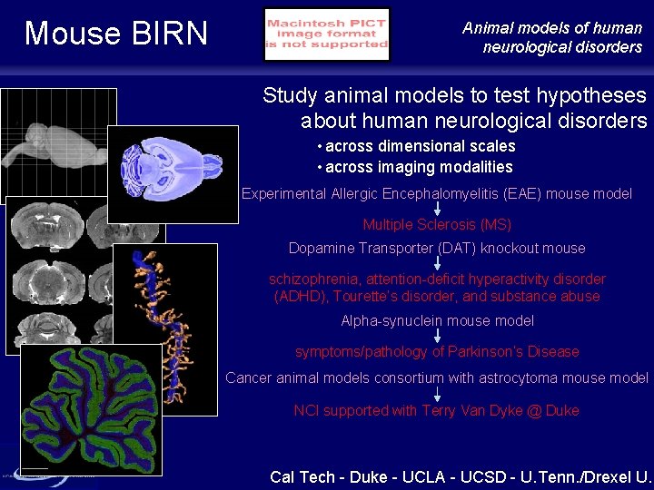 Mouse BIRN Animal models of human neurological disorders Study animal models to test hypotheses