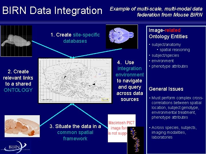 BIRN Data Integration 1. Create site-specific databases Example of multi-scale, multi-modal data federation from