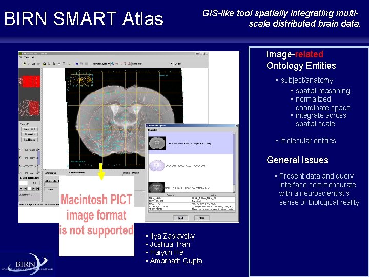 BIRN SMART Atlas GIS-like tool spatially integrating multiscale distributed brain data. Image-related Ontology Entities