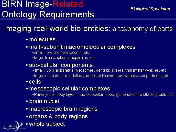 BIRN Image-Related Ontology Requirements Biological Specimen Imaging real-world bio-entities: a taxonomy of parts •