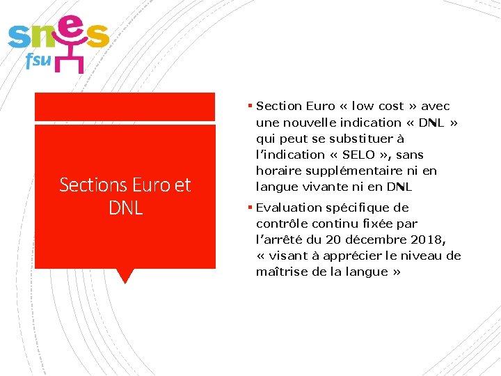 § Section Euro « low cost » avec Sections Euro et DNL une nouvelle